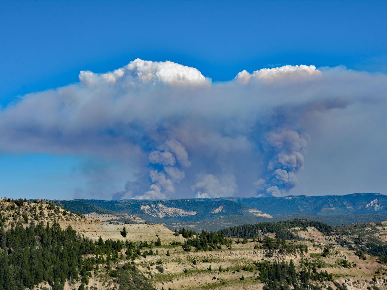 Shedding some light on lightning!
