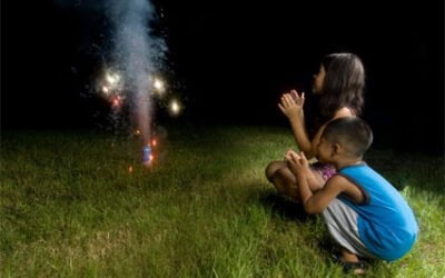 May the Fourth Be with You – Safely!