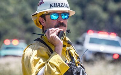 Keeping an eye on your wellness