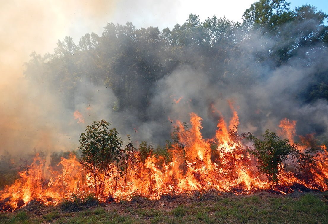 Wildfire defense grant application period now open