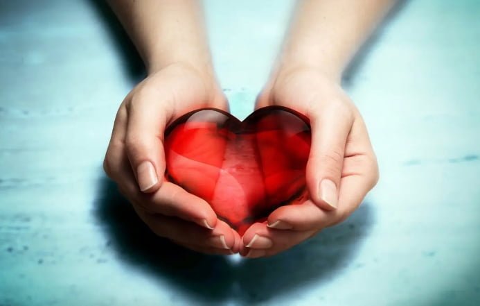 5 Amazing Volunteer Organizations In Suisun City