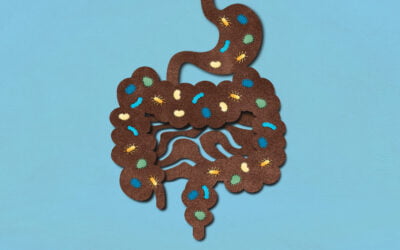 Trust Your Gut – Should Firefighters Detox?