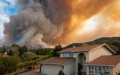 Jan. 10 webinar details how to develop a Community Wildfire Protection Plan