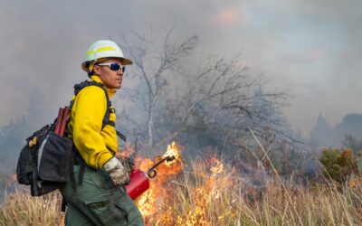 BLM sets wildland hiring event for Feb. 2 – 4 in Sacramento