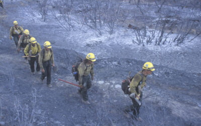 U.S. Forest Service sets California wildland firefighter recruitment events