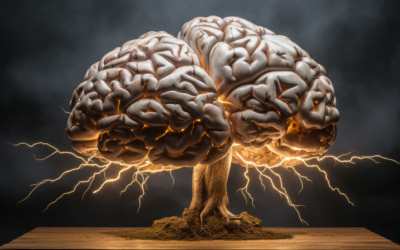 Supercharge Your Brain: If you could superpower your brain for your next response, would you?