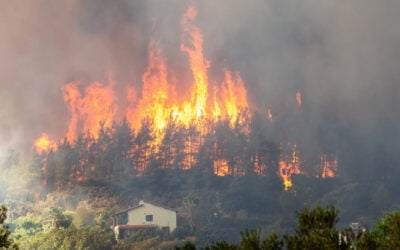 March 20 set for CalFire’s Vegetation and Wildfires webinar