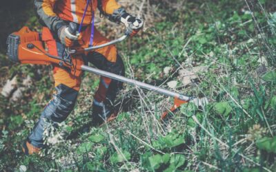 Resources available for Wildfire Community Preparedness Day