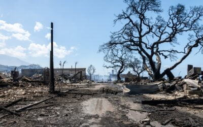 Hawaii Attorney General releases Lahaina Fire Comprehensive Timeline Report