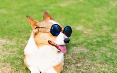 What’s the First Thing to Do When You Get Up Outta Bed?