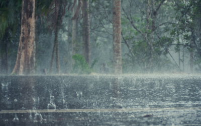 Turn Around Don’t Drown