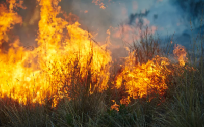 “Falling” Right into the Peak of Fire Season!