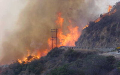 Spring Training For Baseball & Wildfire Season
