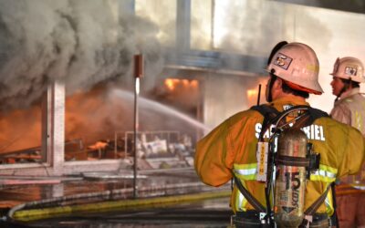 Are You a Leader of a Follower?