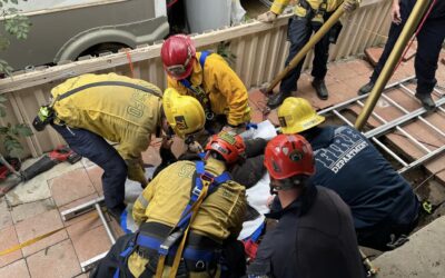 CSFA Agency Spotlight