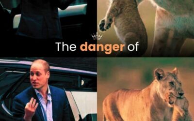 The Danger of the One-Sided Story