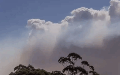 Turn Around Don’t Drown