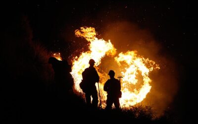 Well Rounded Wellness Tips