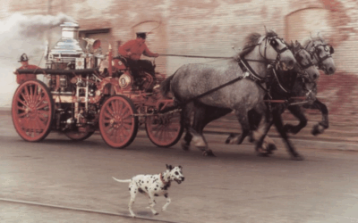 Every Department Could Use More Horsepower