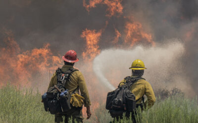 “The Final Sweep – Leadership Without Leftovers”