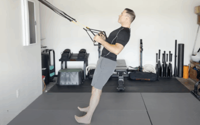 Training Exercise: TRX Low Row
