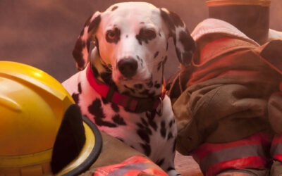 Not Everything is Meant to be Handled